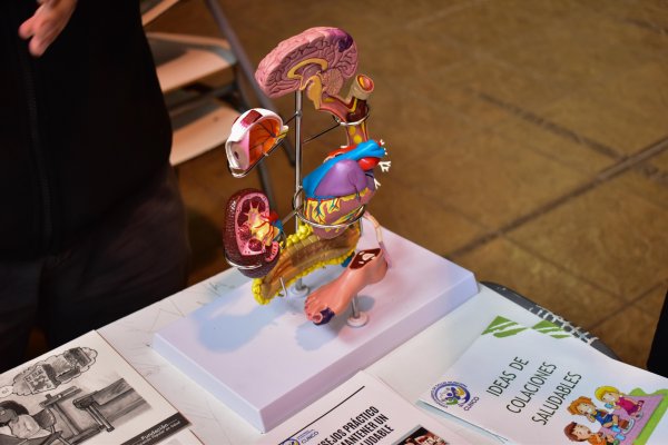 Foto galería