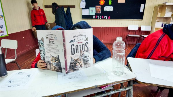 Foto galería