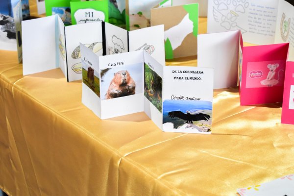 Foto galería