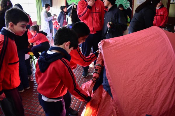 Foto galería