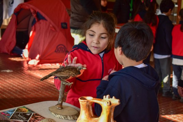 Foto galería